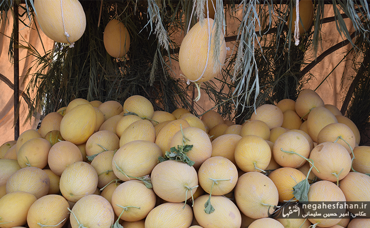 دومین جشنواره خربزه گرگاب