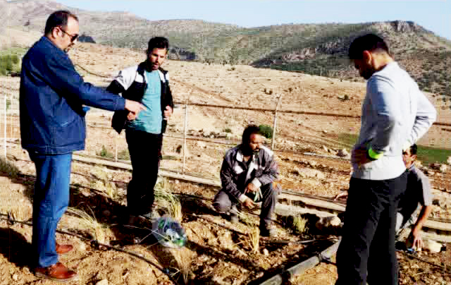 khakealudeh