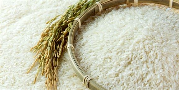 rice
