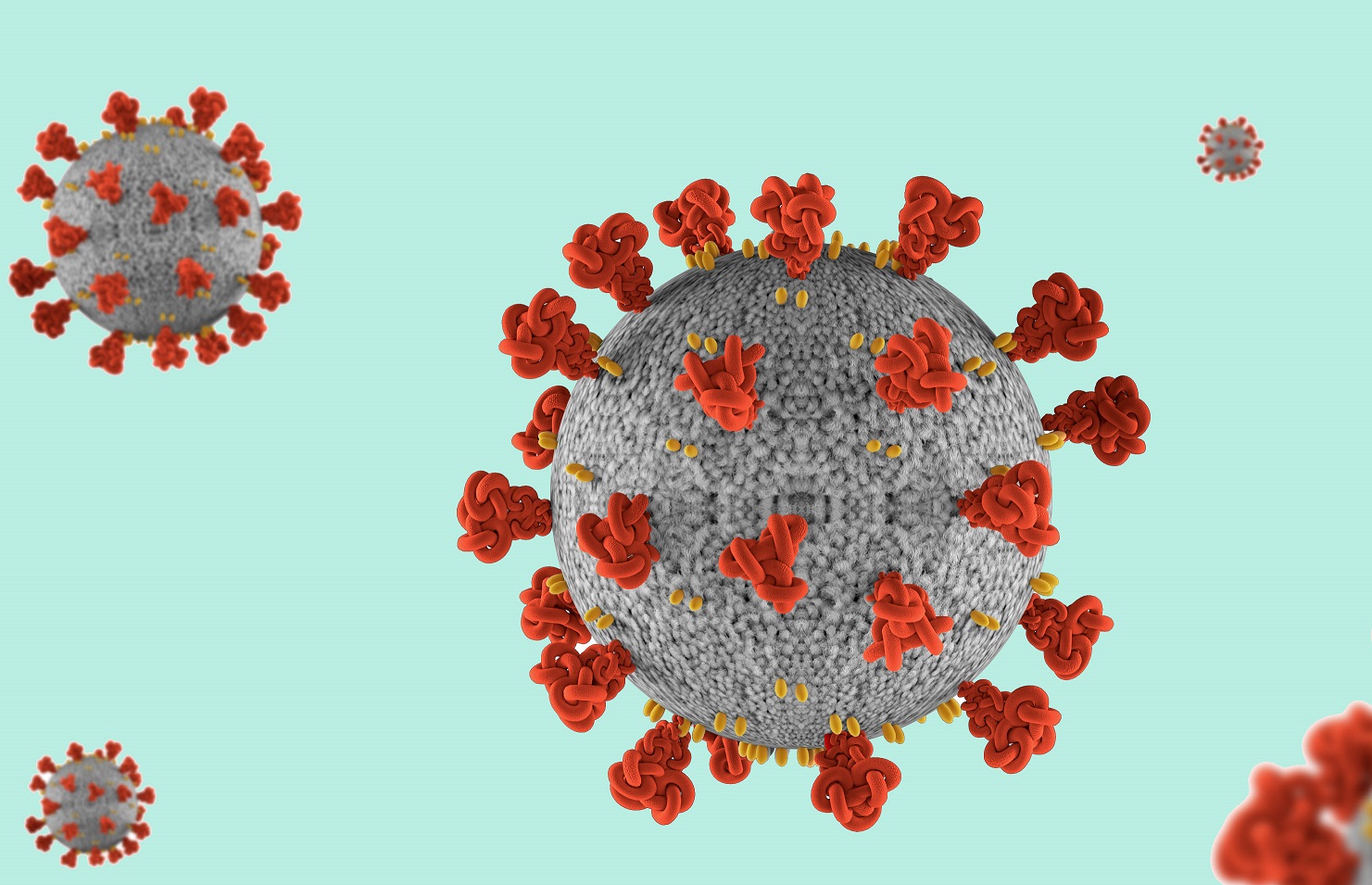 virus1